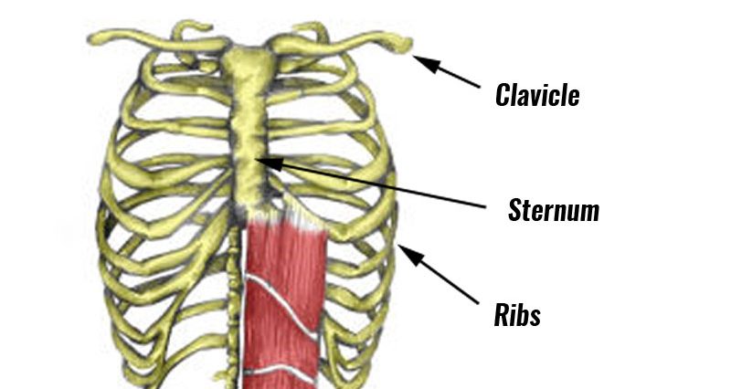 Pain Under Both Ribs, 8 Possible Causes