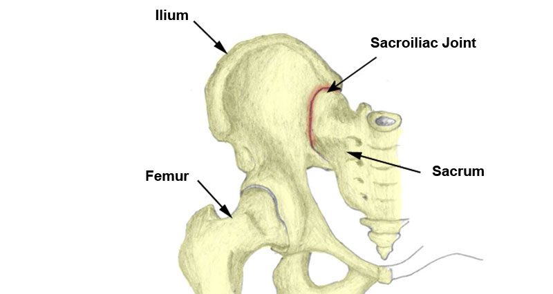 sacroiliac joint exercises