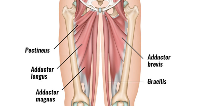 Right-side groin pain in females: Causes and treatment