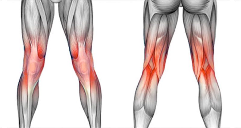 Sharp Pain On The Inside Of The Knee - Human Body Anatomy