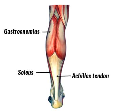 pain in lower calf and achilles tendon