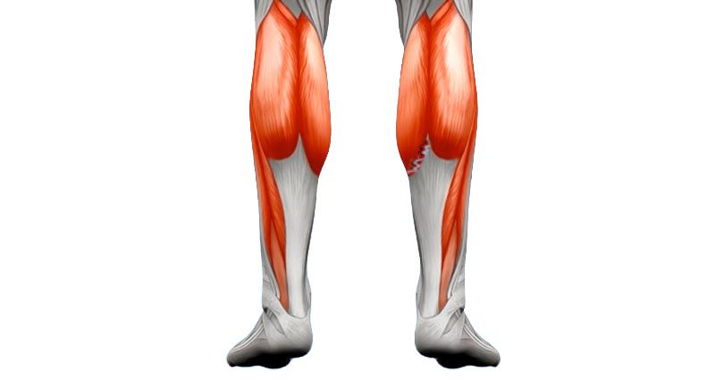 Calf Muscle Strain Treatment - Stable Massage
