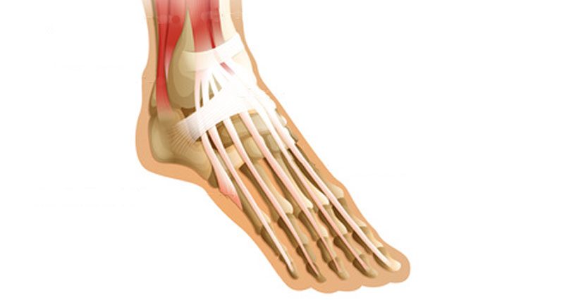 plantar flexion pain top of foot