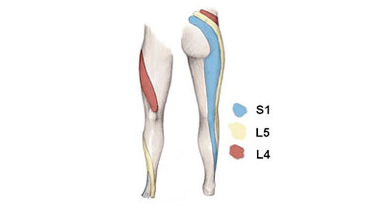 Common Injuries in Runners: Hamstring Strains + IT Band Syndrome