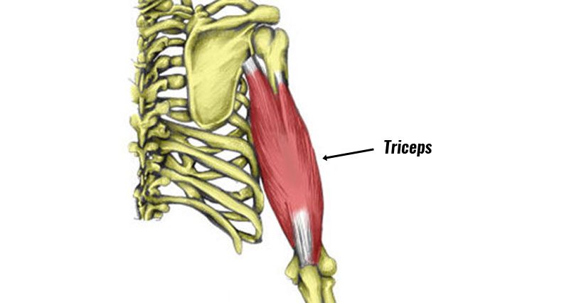 Triceps tendonitis causes and treatment