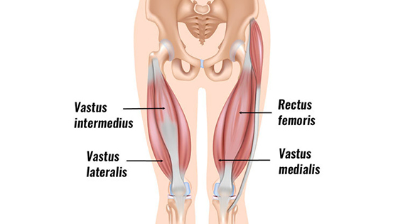 Rectus femoris tendon strain 